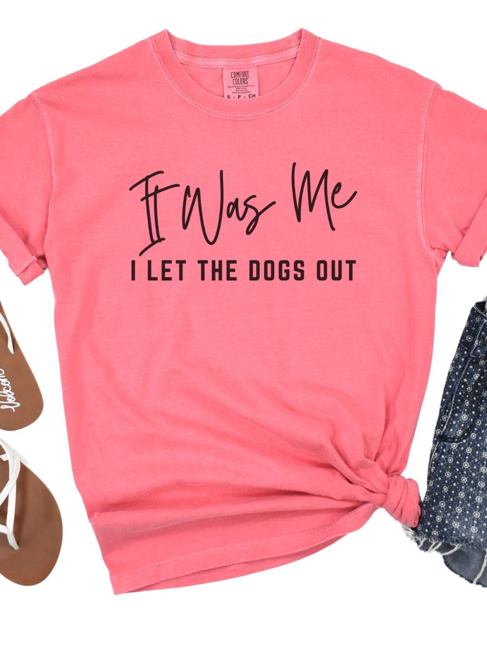 Dogs_Out_-_Watermelon2 It Was Me I Let The Dogs Out Funny Unisex Short Sleeve Graphic T-Shirt - Image 1